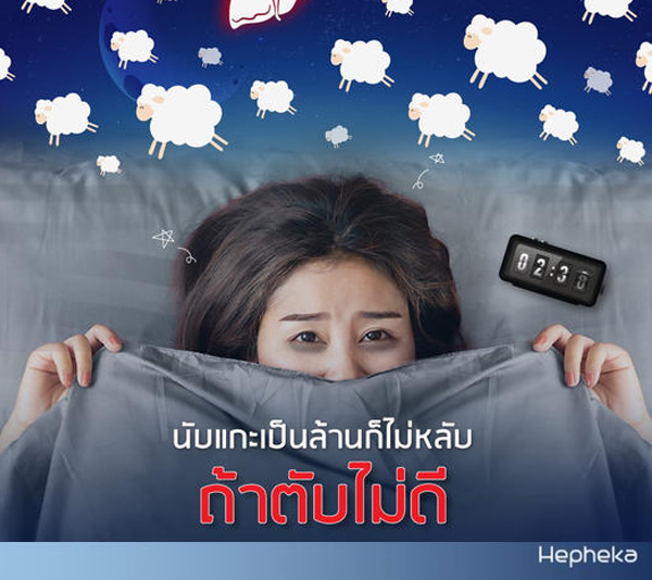 นับแกะเป็นล้านก็ นอนไม่หลับ