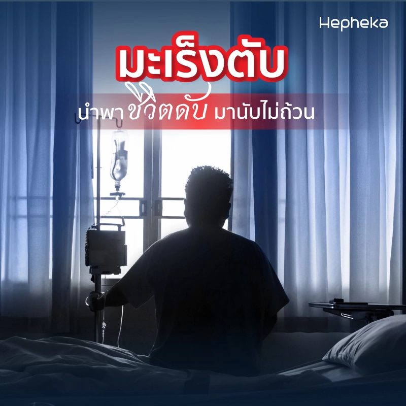 2022 0081 มะเร็งตับ นำพาชีวิตดับมานับไม่ถ้วน TN