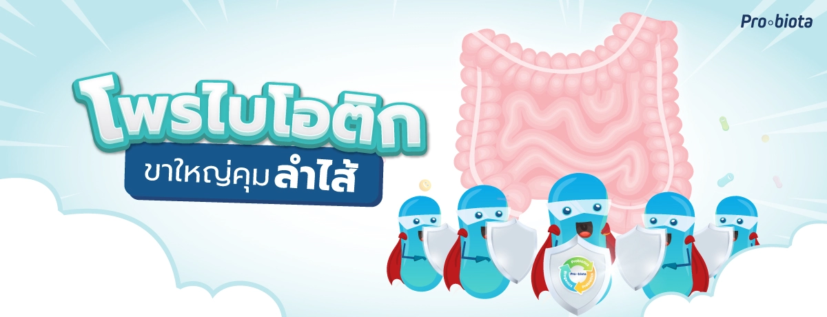 2022 0185 โพรไบโอติก ขาใหญ่คุมลำไส้ WEB