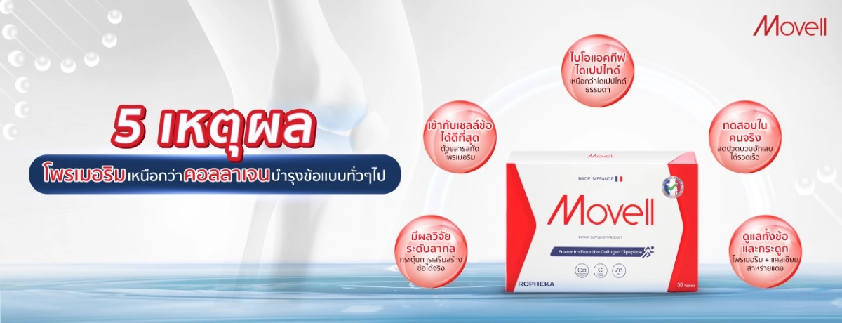 ผลิตภัณฑ์บํารุงข้อเข่า