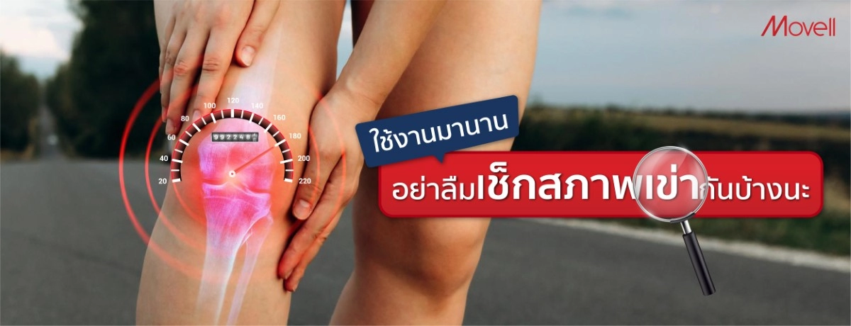ใช้งานมานาน อย่าลืมเช็กสภาพเข่ากันบ้างนะ