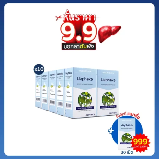 เฮฟฟีก้า 10 กล่อง