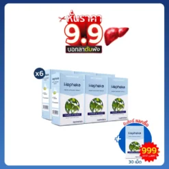 เฮฟฟีก้า 6 กล่อง