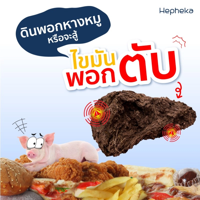 ดินพอกหางหมู หรือจะสู้ไขมันพอกตับ
