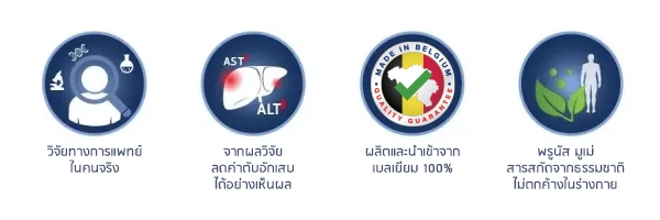 การรันตี เฮฟฟีก้า แก้ ไวรัสตับอักเสบ 600x200 1
