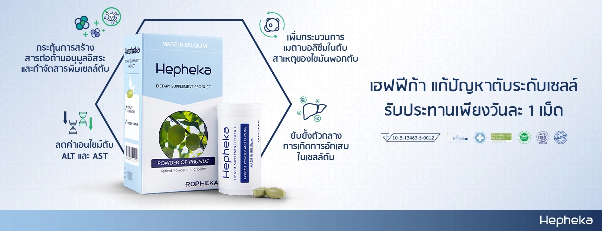 เฮฟฟีก้า ลดค่าตับสูง