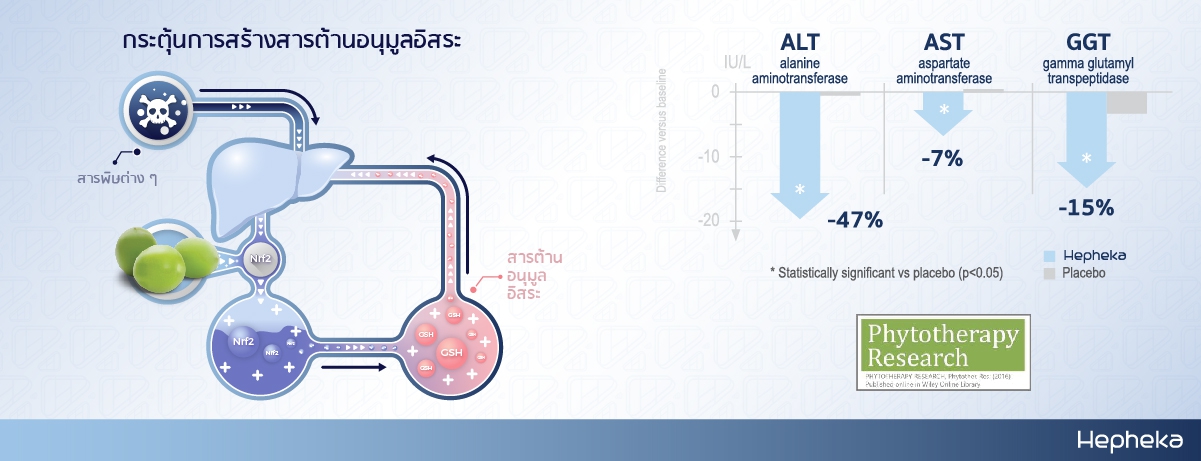 กระตุ้นการสร้างสารต้านอนุมูลอิสระ