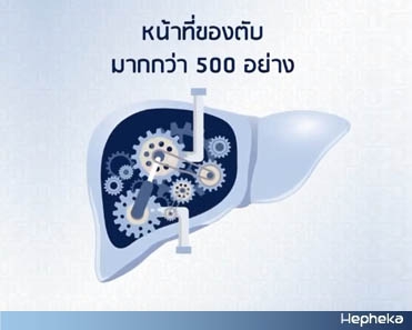 อวัยวะมหัศจรรย์