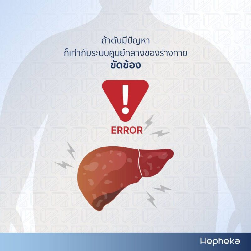 ความสำคัญตับ ถ้าตับมีปัญหาก็เท่ากับระบบศูนย์กลางของร่างกายขัดข้อง