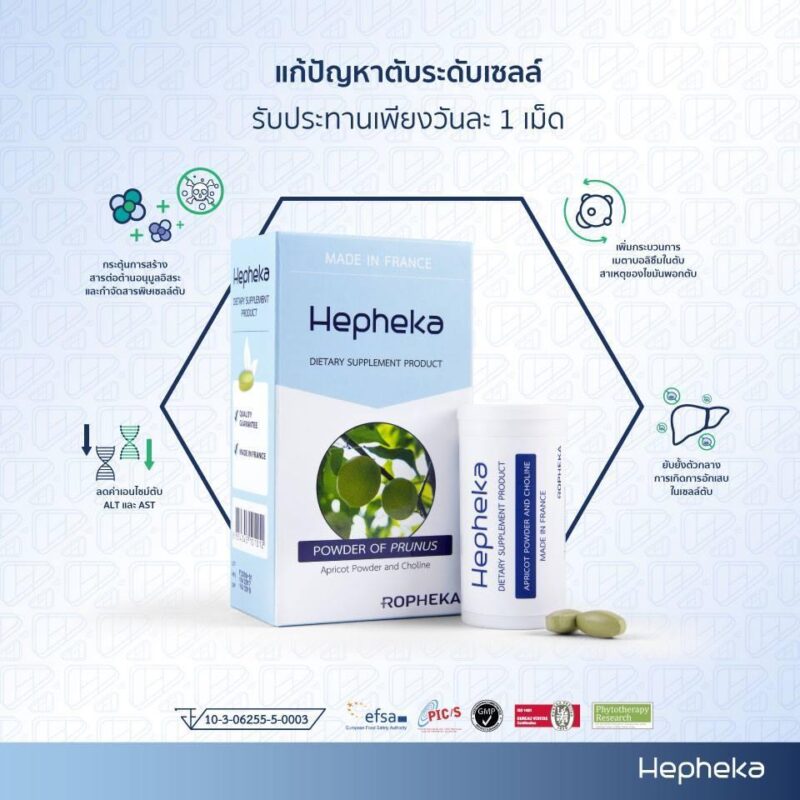 เฮฟฟีก้ายับยั้ง ตับ อักเสบ