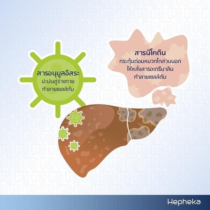 สารอนุมูลอิสระ