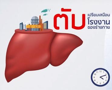 อาหารบำรุงตับ เฮฟฟีก้า