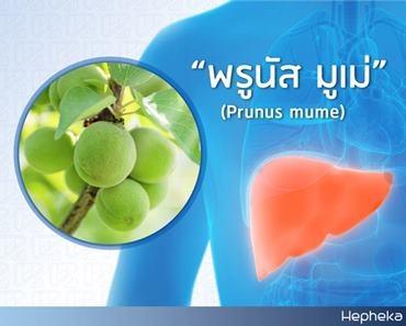 พรูนัส มูเม่