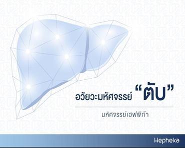 ฟื้นฟูตับ