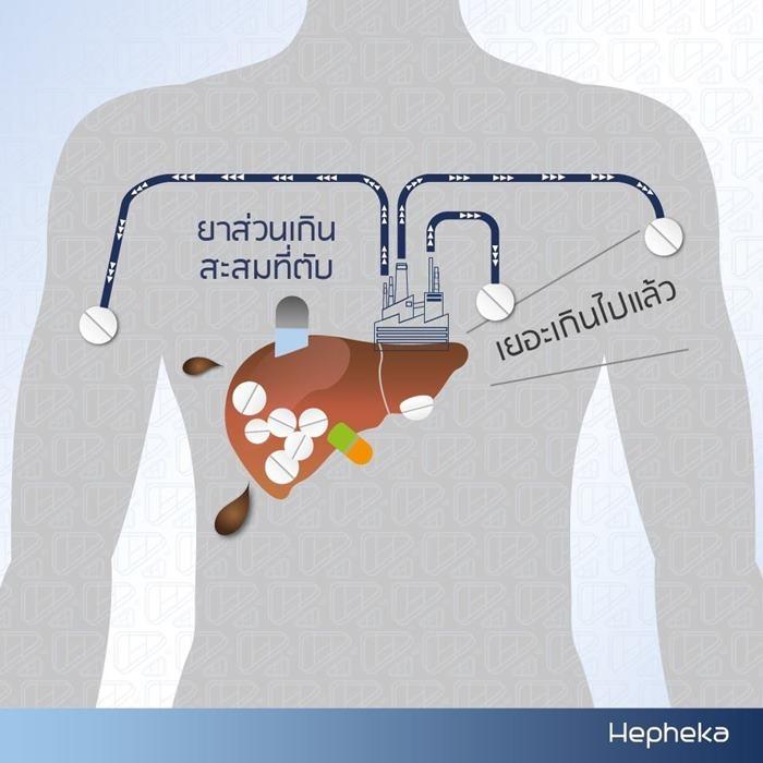 พารา ทำลายตับ แบบสะสม