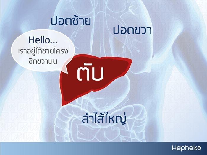 ปวดท้องข้างขวา ปวดชายโครงขวา อาจเป็นโรคเกี่ยวกับตับ