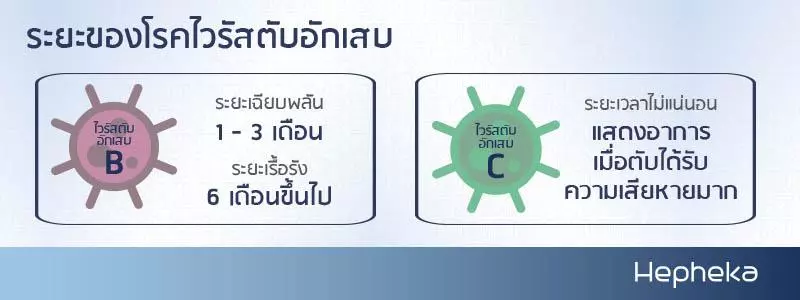 ระยะของ ไวรัสตับอักเสบ