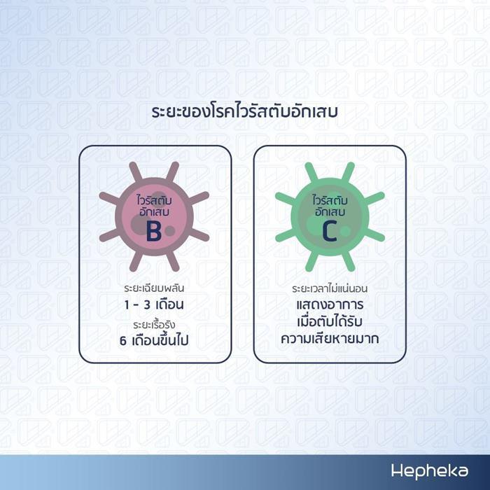 ระยะเวลาโรคไวรัสตับอักเสบ