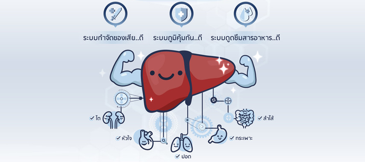 ตับทำหน้าที่อะไร