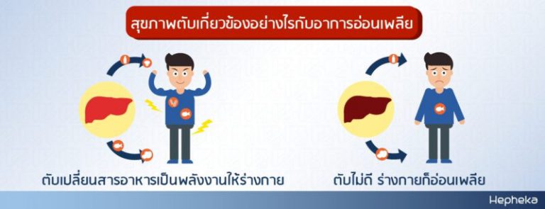 อ่อนเพลีย เกี่ยวข้องอย่างไรกับสุขภาพตับ