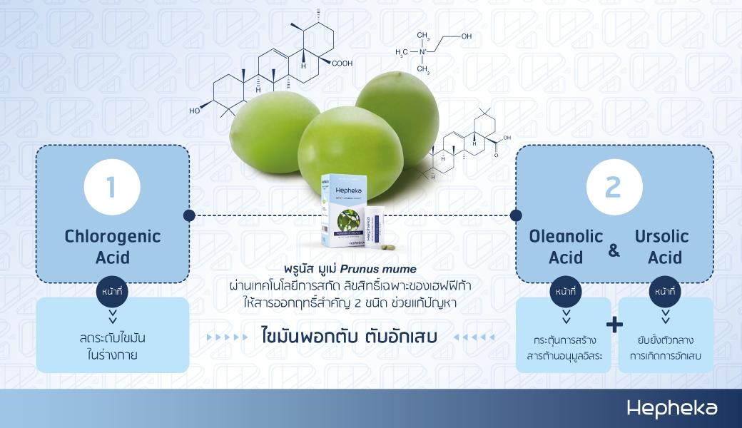 ไขมันพอกตับ ตับอักเสบ