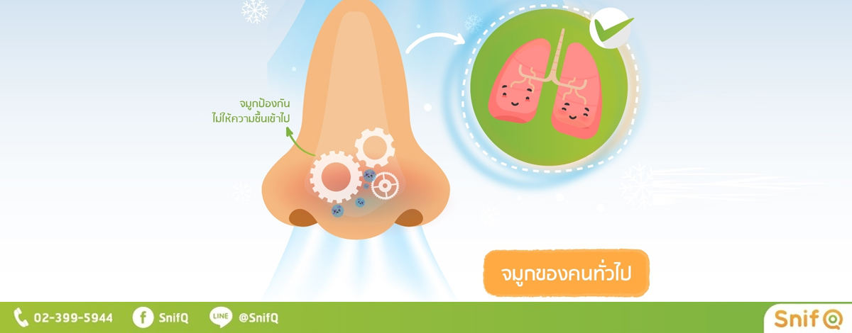 จมูกของคนทั่วไป