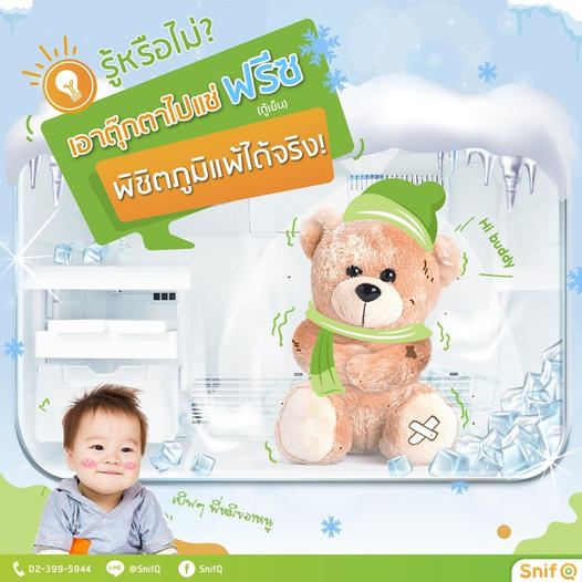 ตุ๊กตาไรฝุ่น