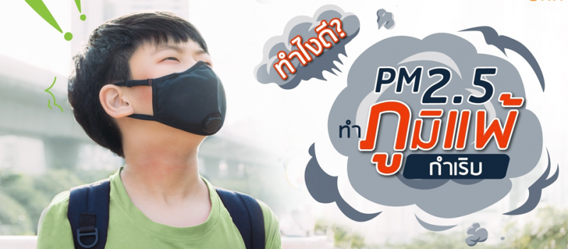 ค่า PM2.5