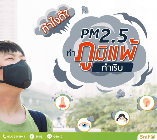ค่า PM2.5