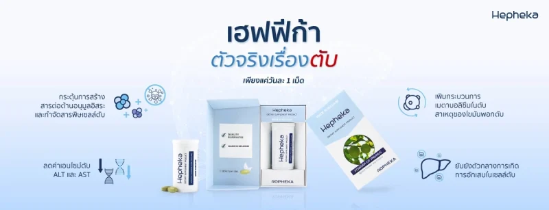 6 วิธีเลือก อาหารเสริมบำรุงตับ ยี่ห้อไหนดี ไร้ผลข้างเคียง 6 1