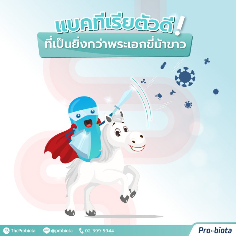 แบคทีเรีย