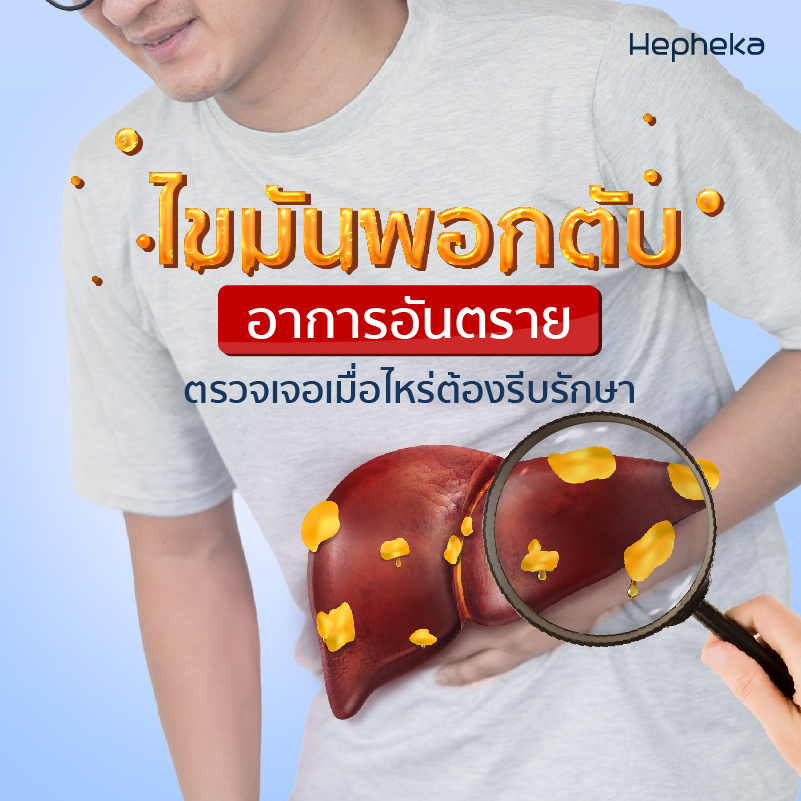 ไขมันพอกตับ Hep TN