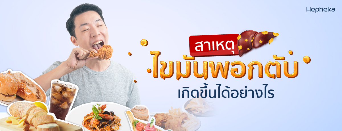 ไขมันพอกตับ Hep WEB 1