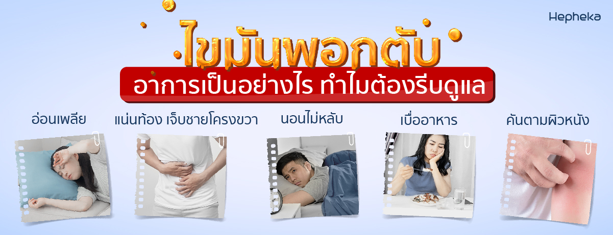 ไขมันพอกตับ Hep WEB 2