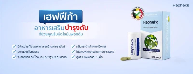 ไขมันพอกตับ Hep WEB 5