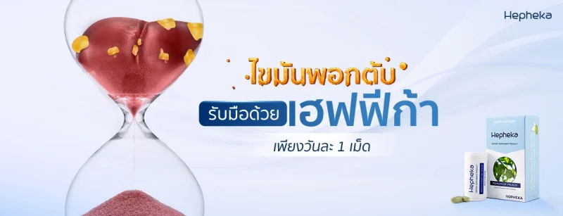 ไขมันพอกตับ Hep WEB 6