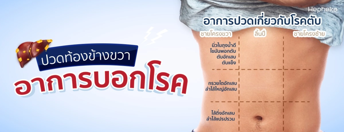 ปวดท้องข้างขวา ปวดแบบไหน เป็นสัญญาณอันตรายจากตับ ปวดท้องข้างขวา ปวดแบบไหน เป็นสัญญาณอันตรายจากตับ