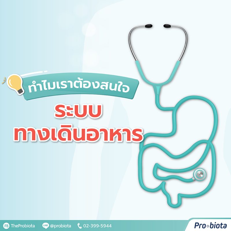 ทางเดินอาหาร