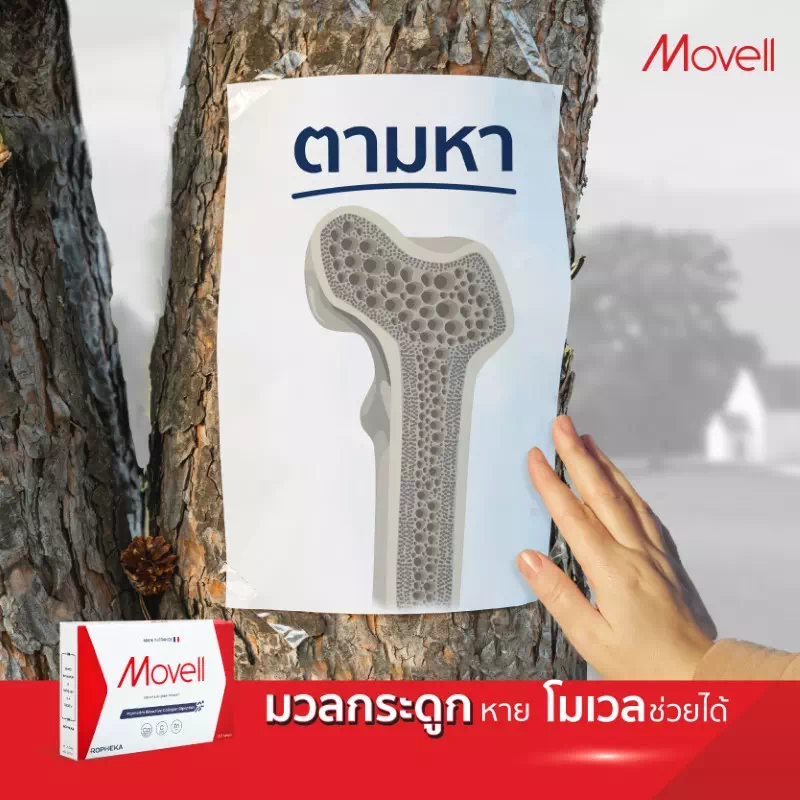 มวลกระดูก