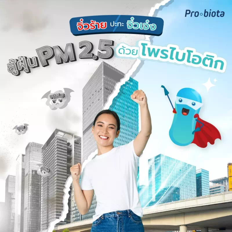 ฝุ่นจิ๋ว