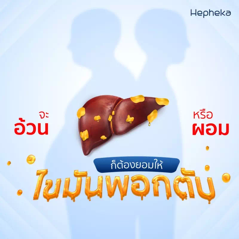 อ้วนหรือผอม