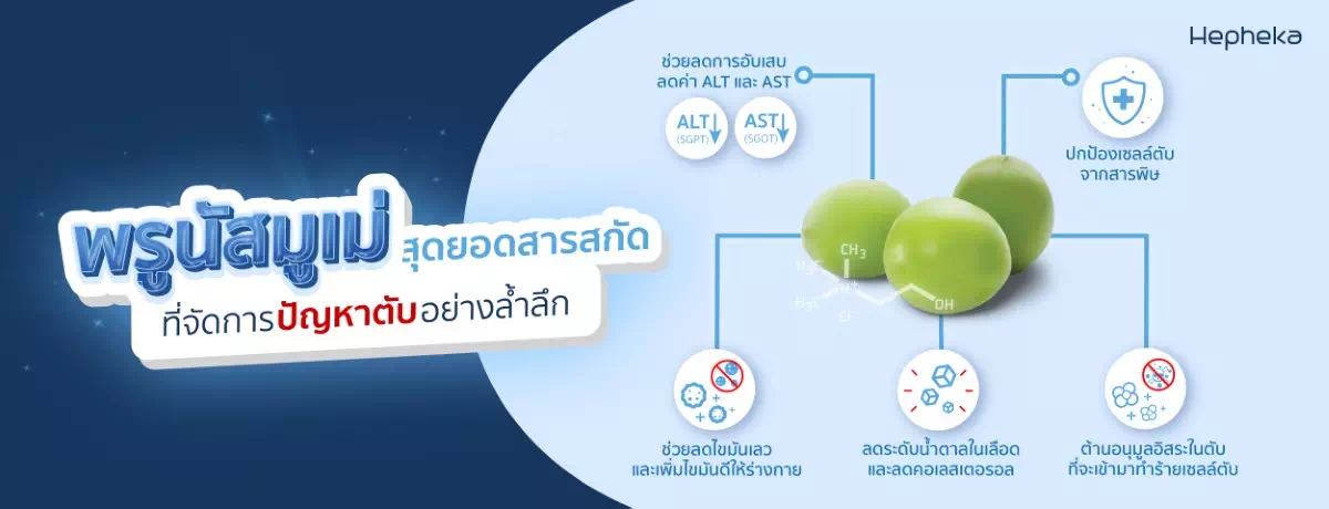 พรูนัสมูเม่ สุดยอดสารสกัด ที่จัดการปัญหาตับอย่างล้ำลึก
