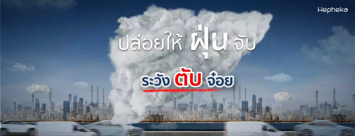 ปล่อยให้ฝุ่นจับระวังตับจ๋อย