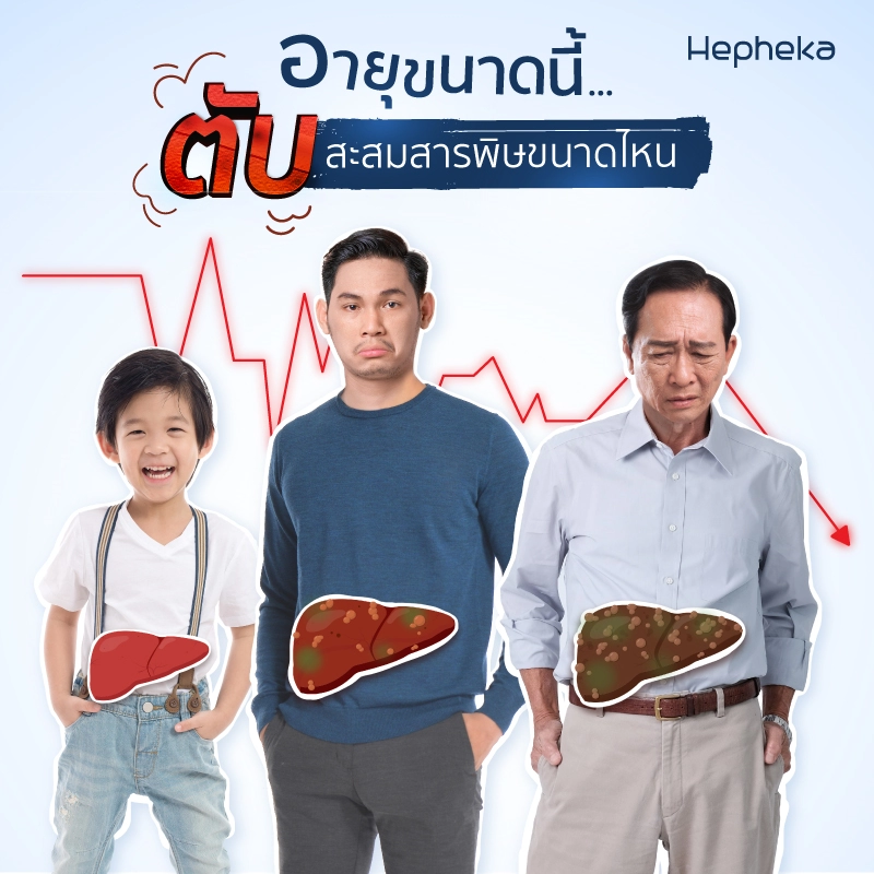 ตับสะสมสารพิษ