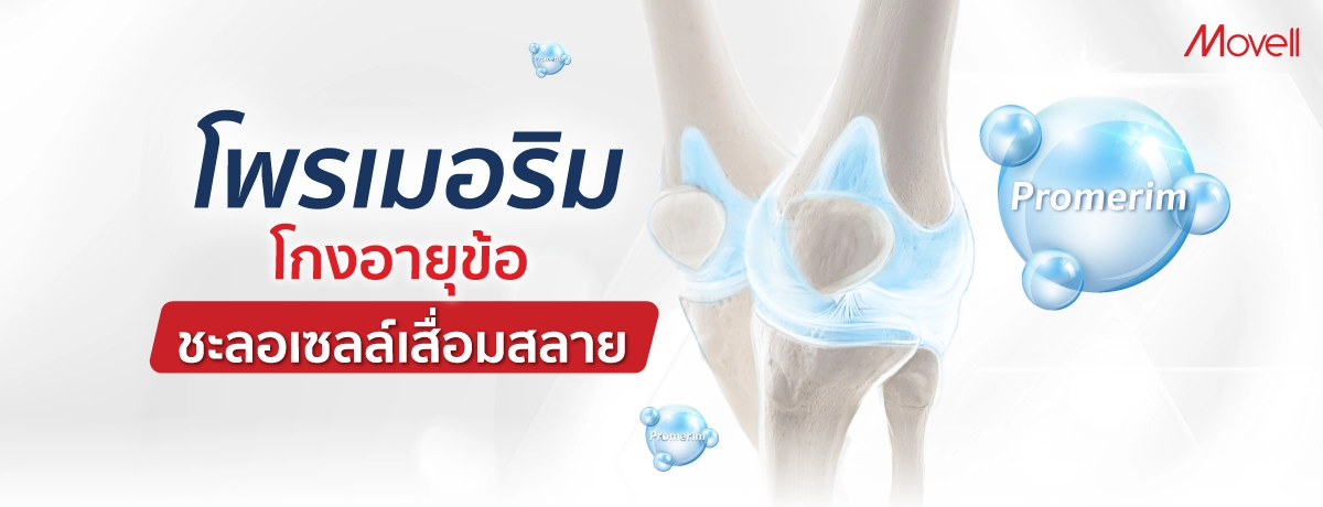 โพรเมอริม โกงอายุข้อ ชะลอเซลล์เสื่อมสลาย