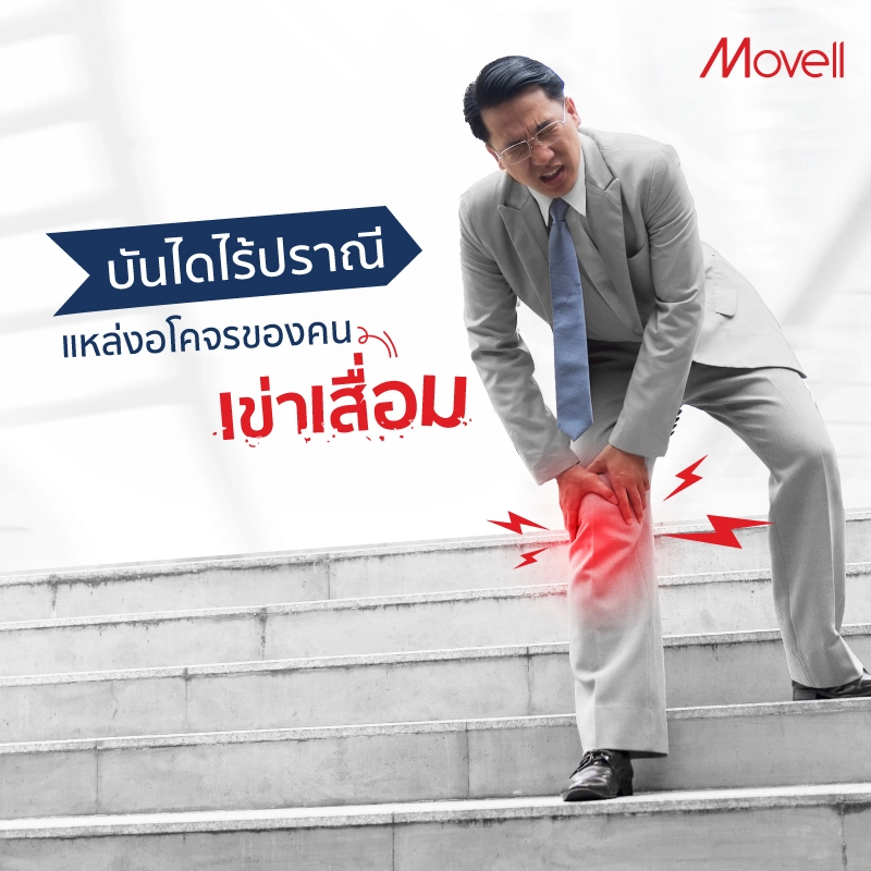 2023 035 บันไดไร้ปราณี แหล่งอโคจรของคนเข่าเสื่อม TN