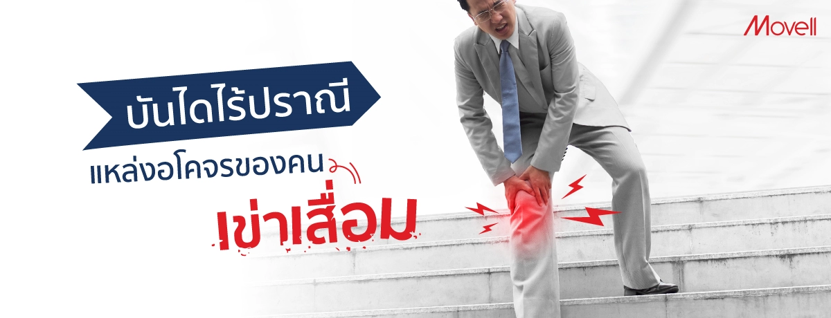 บันไดไร้ปราณี แหล่งอโคจรของคนเข่าเสื่อม