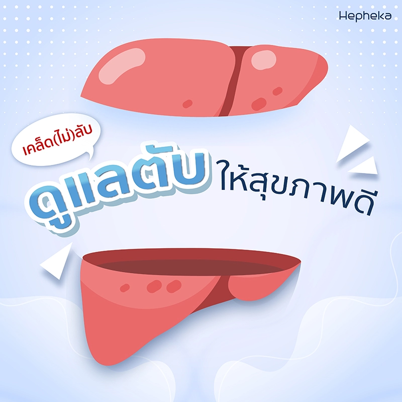 ดูแลตับให้สุขภาพดี
