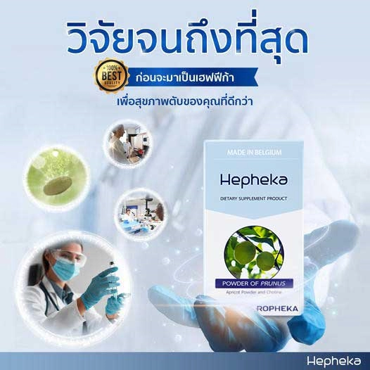 วิจัยจนถึงที่สุด-ก่อนจะมาเป็นเฮฟฟีก้า