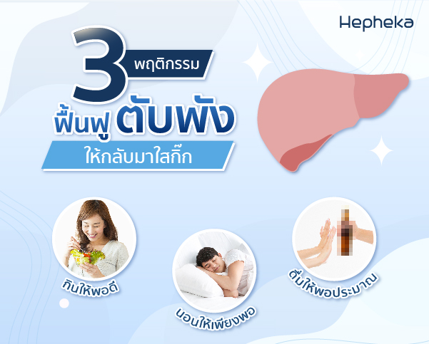 ฟื้นฟูตับอย่างไร